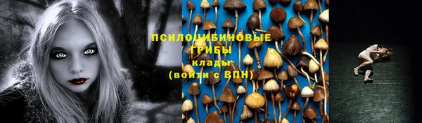 метадон Осташков