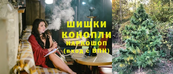 меф Няндома