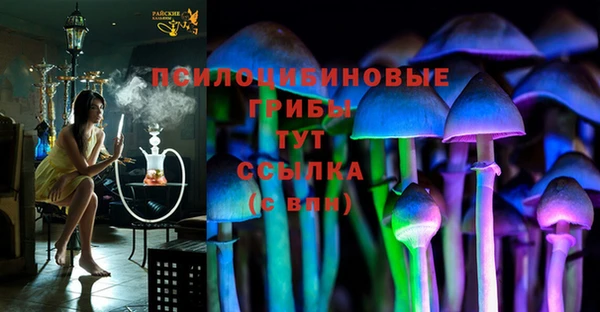 метадон Осташков