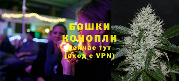 меф Няндома